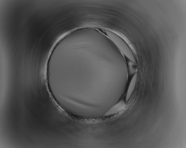 X0000086730815200705111613