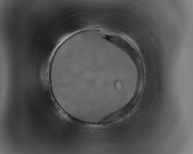 X0000086730816200705111613