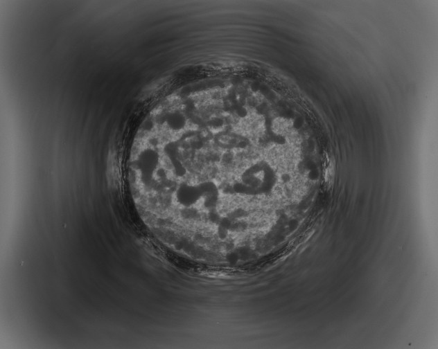 X0000086730819200705111613