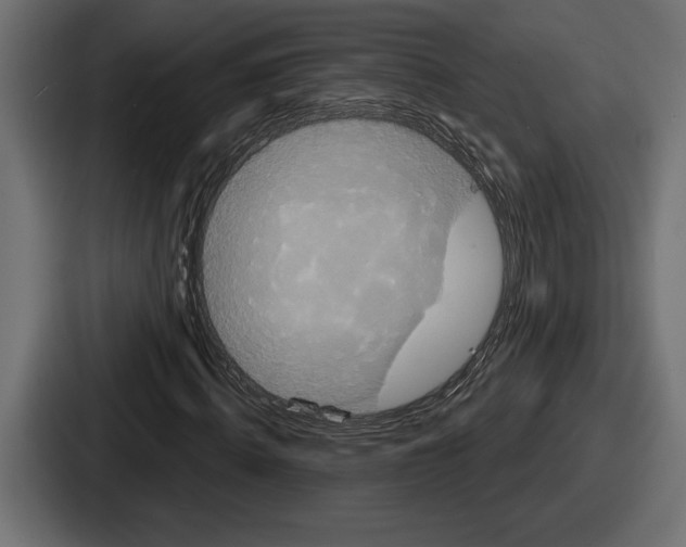 X0000086730820200705111613