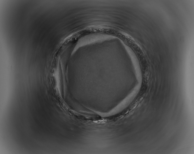 X0000086730822200705111613