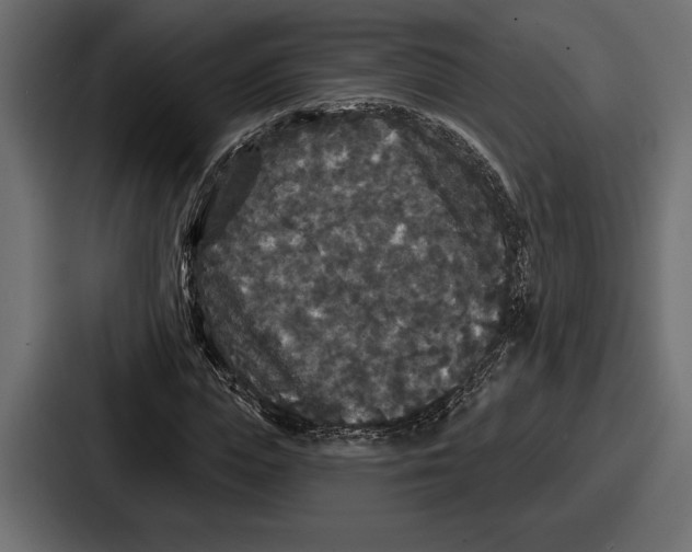 X0000086730823200705111613