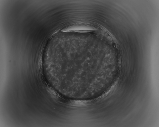 X0000086730825200705111613