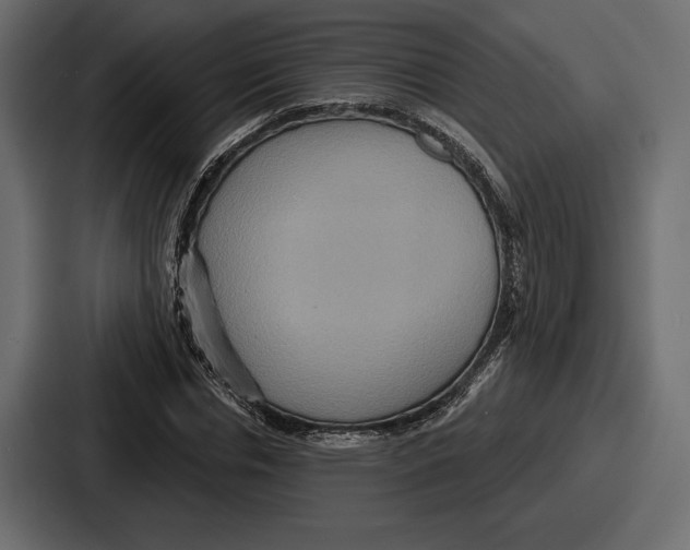 X0000086730826200705111613