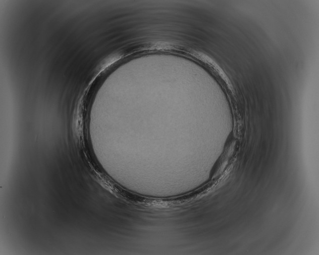 X0000086730827200705111613
