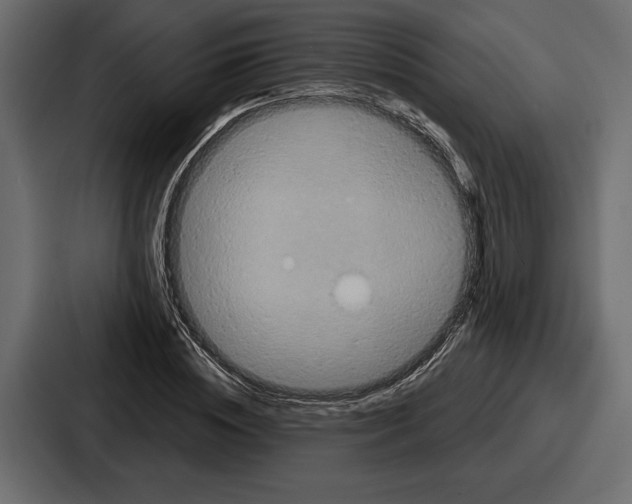 X0000086730828200705111613