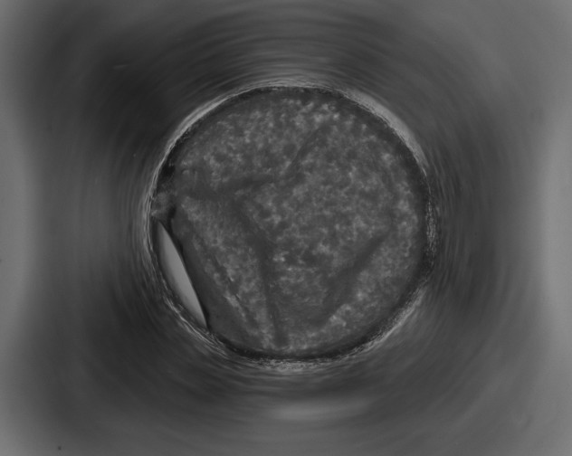 X0000086730829200705111613