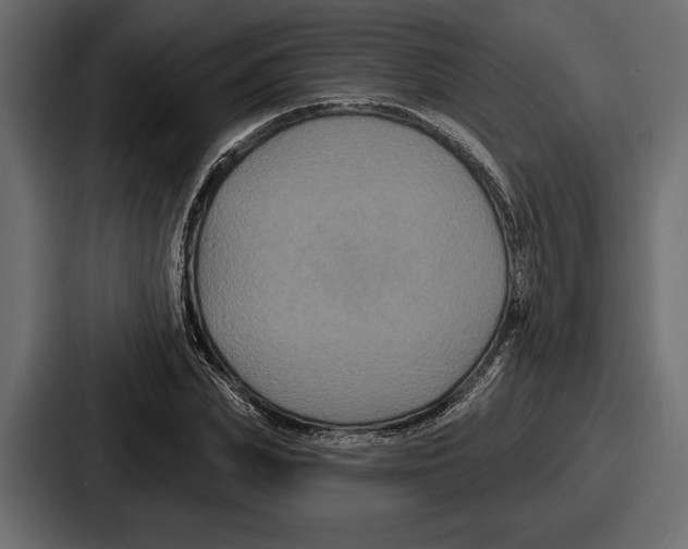 X0000086730831200705111613