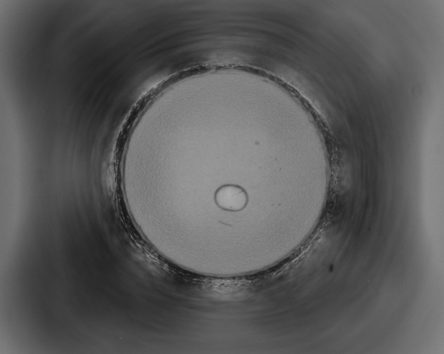 X0000086730832200705111613