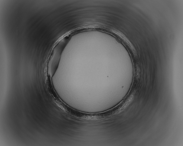 X0000086730834200705111613