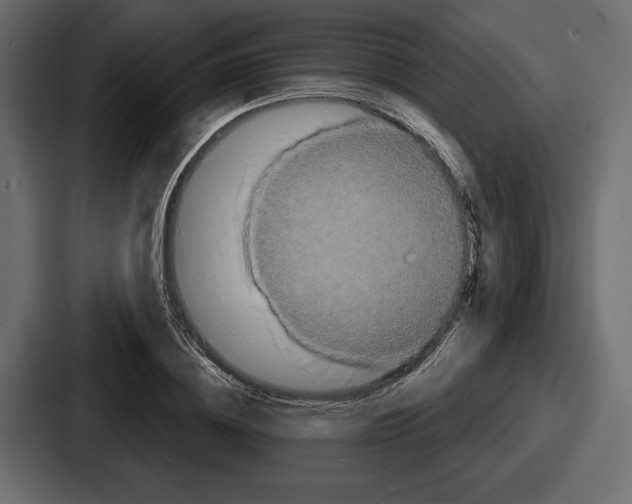 X0000086730836200705111613