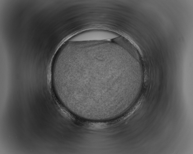 X0000086730837200705111613