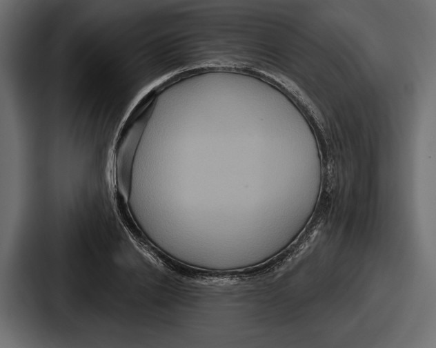 X0000086730838200705111613