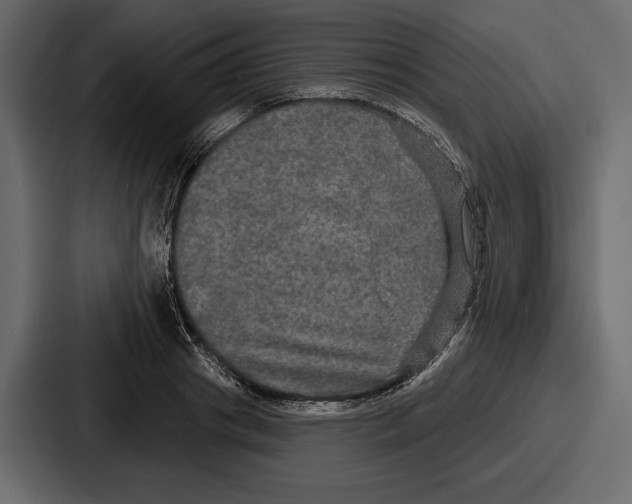 X0000086730841200705111613