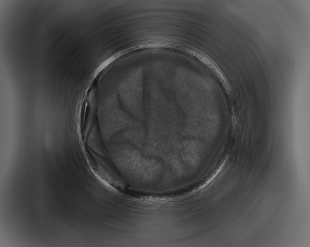 X0000086730842200705111613