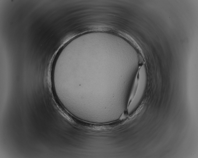 X0000086730843200705111613
