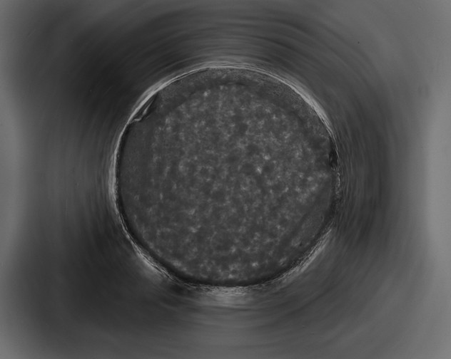 X0000086730845200705111613