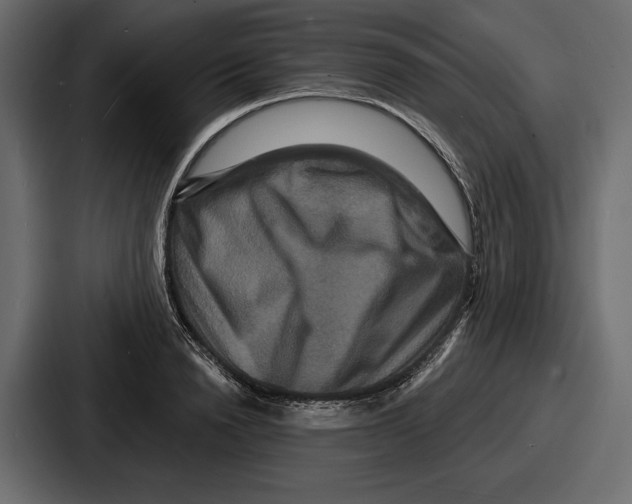 X0000086730846200705111613