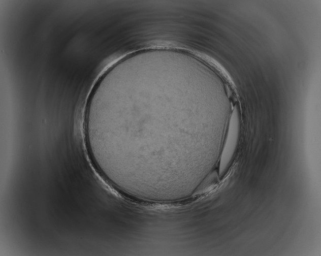 X0000086730847200705111613