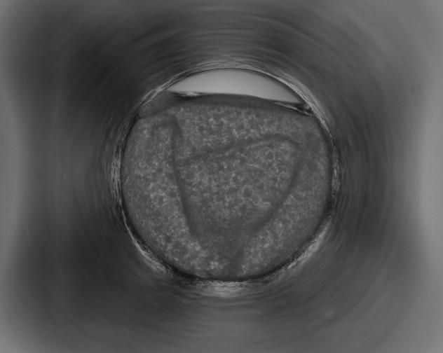 X0000086730849200705111613