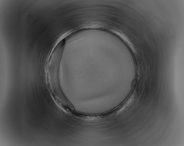X0000086730850200705111613