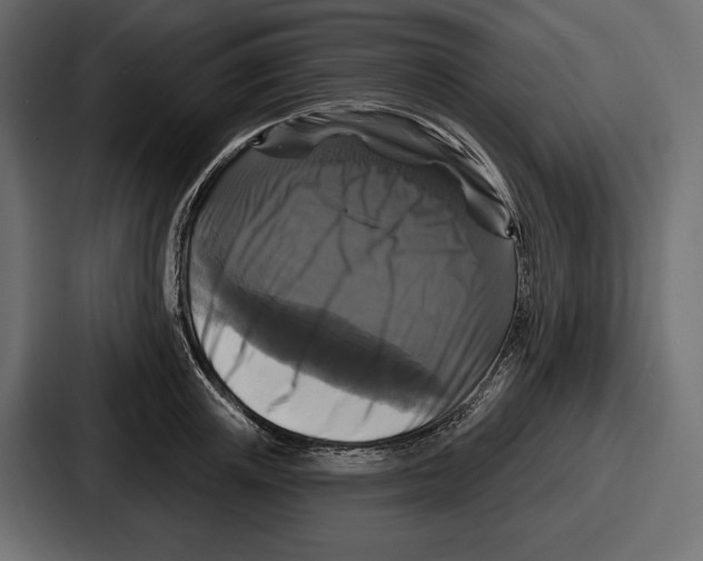 X0000086730851200705111613
