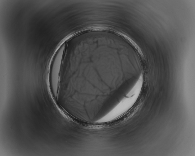 X0000086730853200705111613