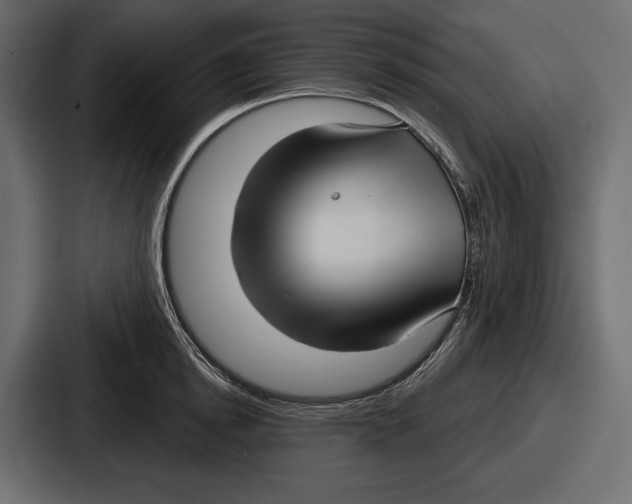 X0000086730854200705111613