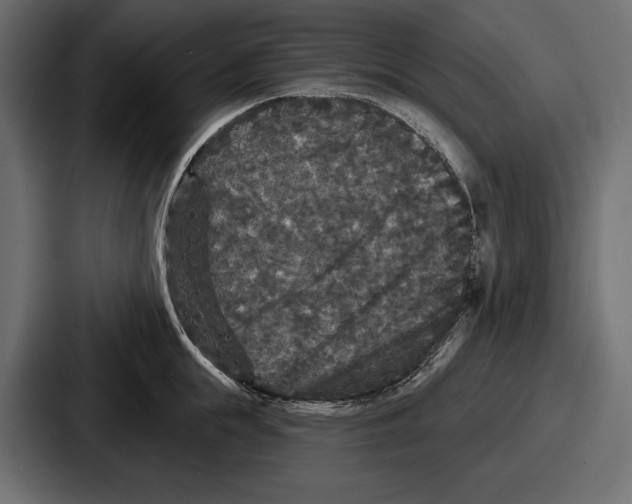 X0000086730855200705111613