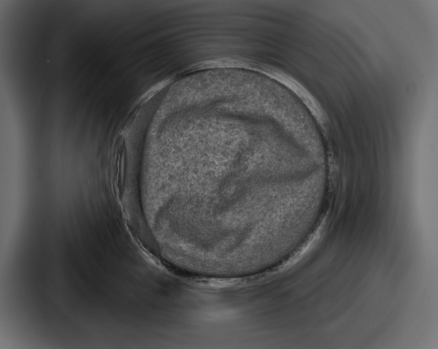 X0000086730857200705111613