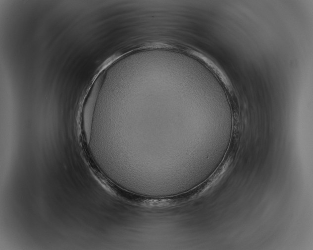 X0000086730858200705111613
