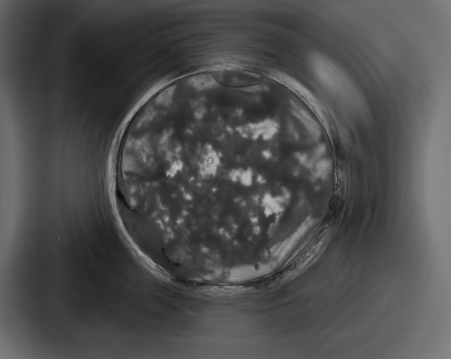 X0000086730859200705111613