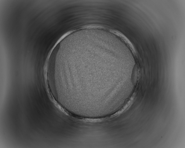 X0000086730860200705111613