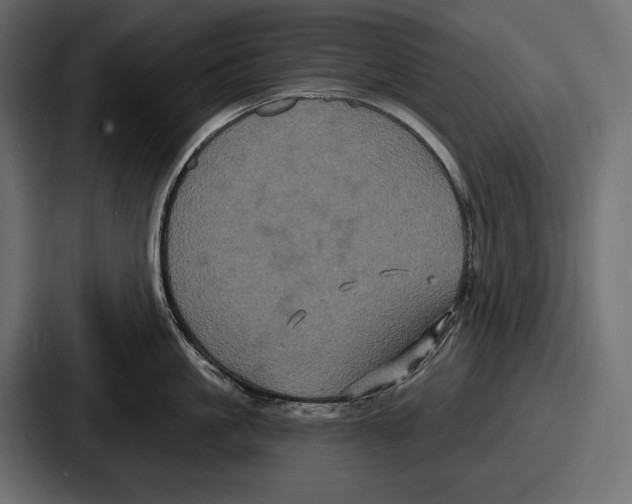 X0000086730861200705111613