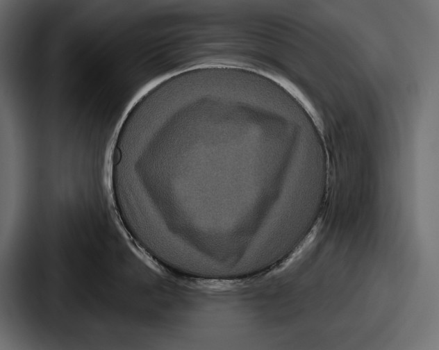 X0000086730862200705111613