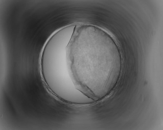X0000086730864200705111613