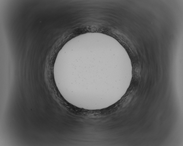 X0000086730865200705111613