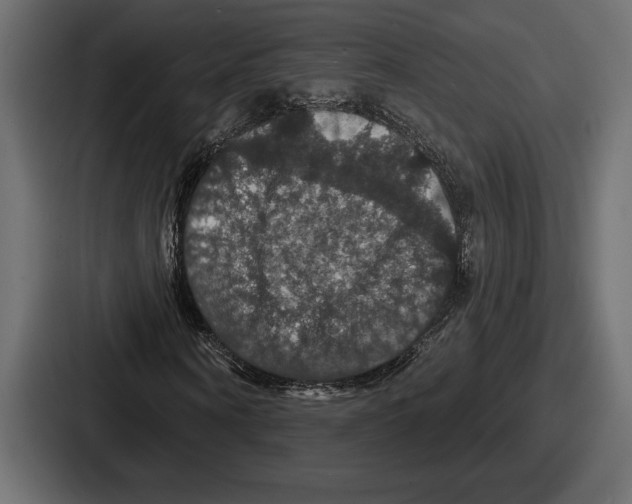 X0000086730866200705111613