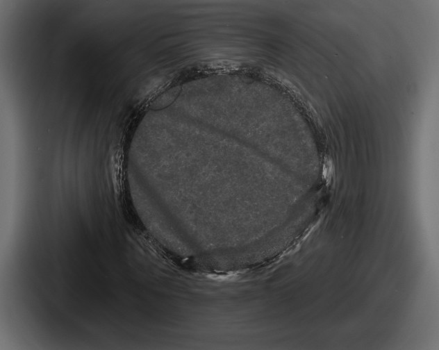 X0000086730867200705111613