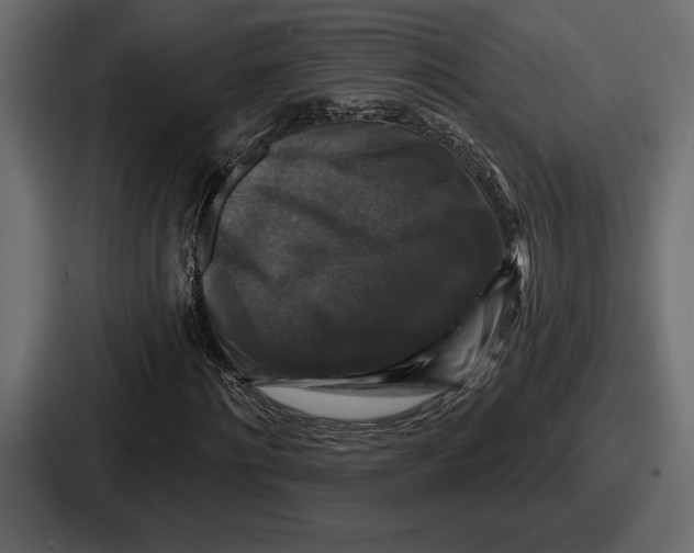 X0000086730868200705111613