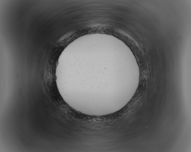 X0000086730869200705111613