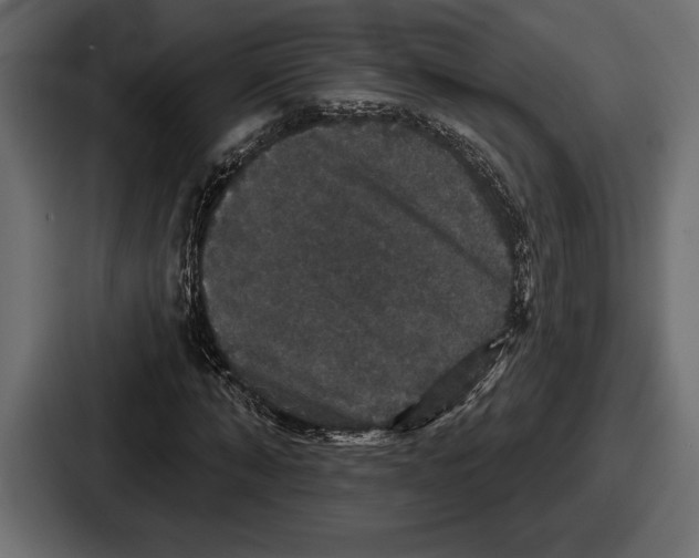 X0000086730870200705111613