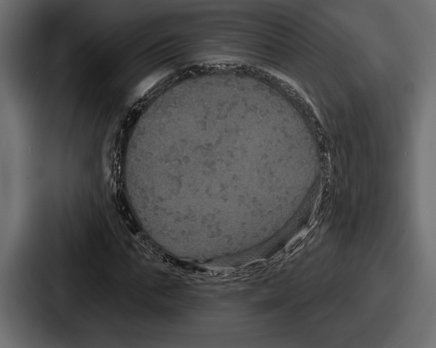 X0000086730871200705111613