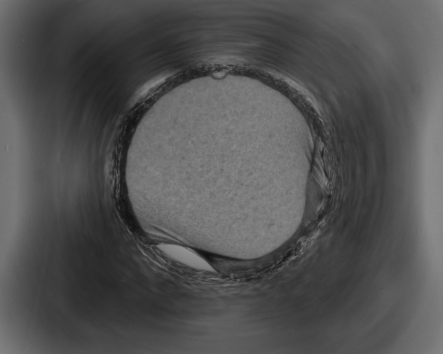 X0000086730872200705111613