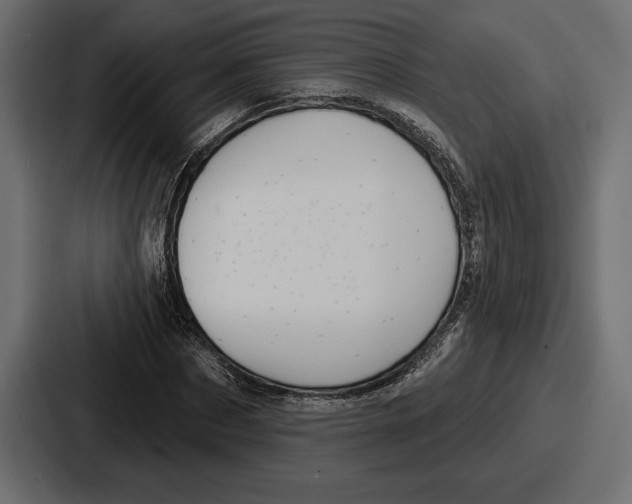 X0000086730873200705111613