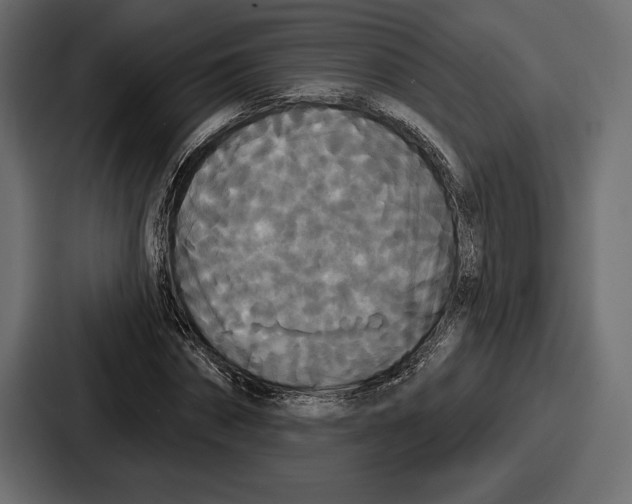 X0000086730874200705111613