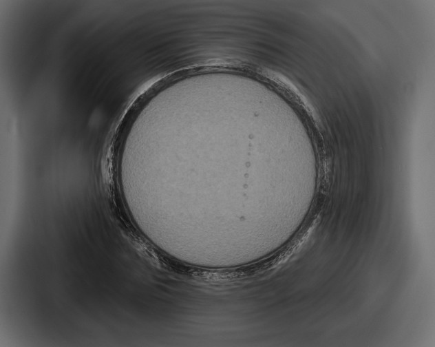 X0000086730875200705111613