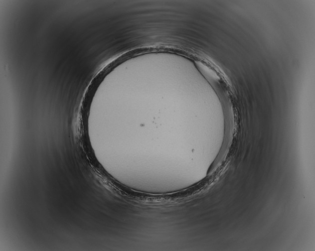 X0000086730876200705111613