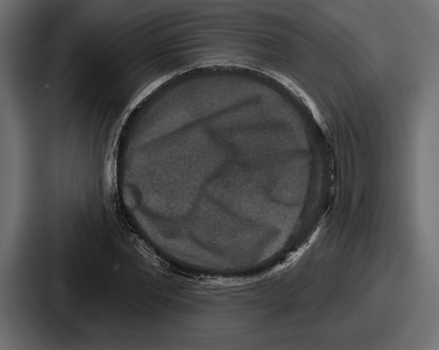 X0000086730877200705111613