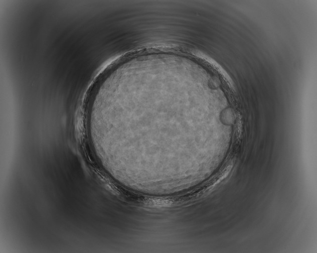 X0000086730878200705111613